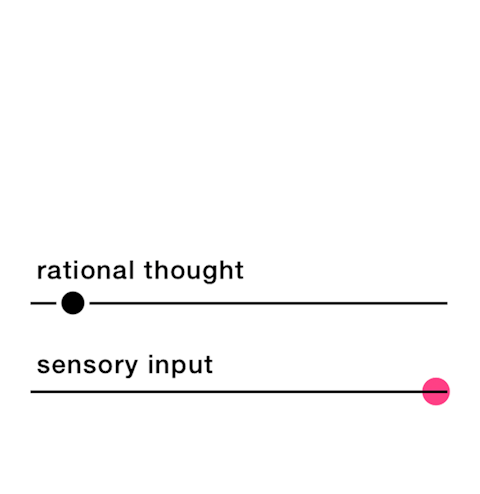 The brain processes sensory input 5x faster than rational thought.