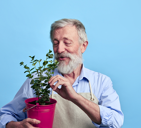 Male florist holding a plant and looking at it while touching the leaves.