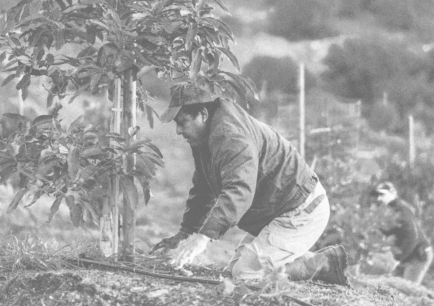 Content That Captivates