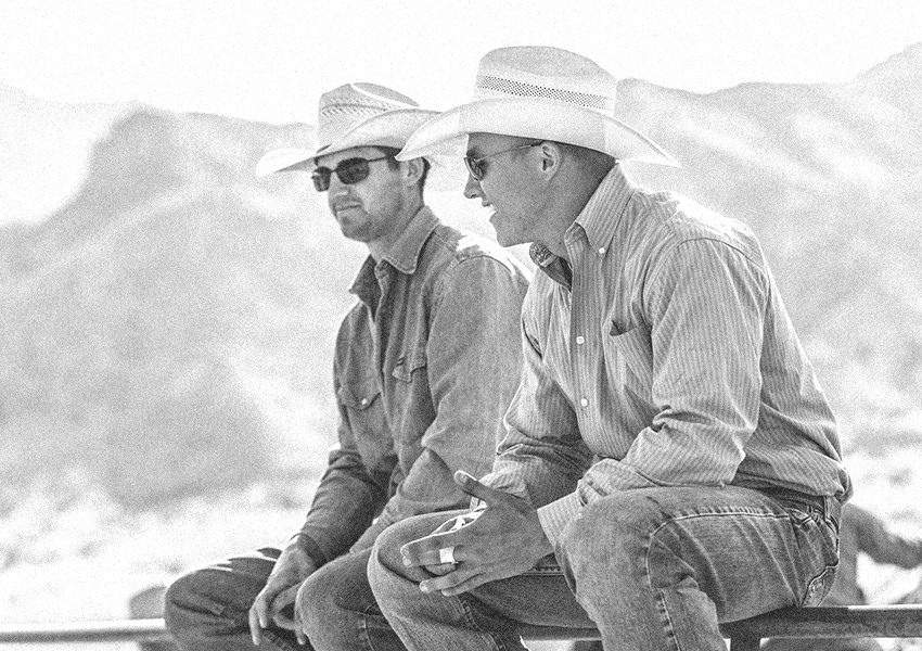 From Persona Exploration to Campaign Ideation